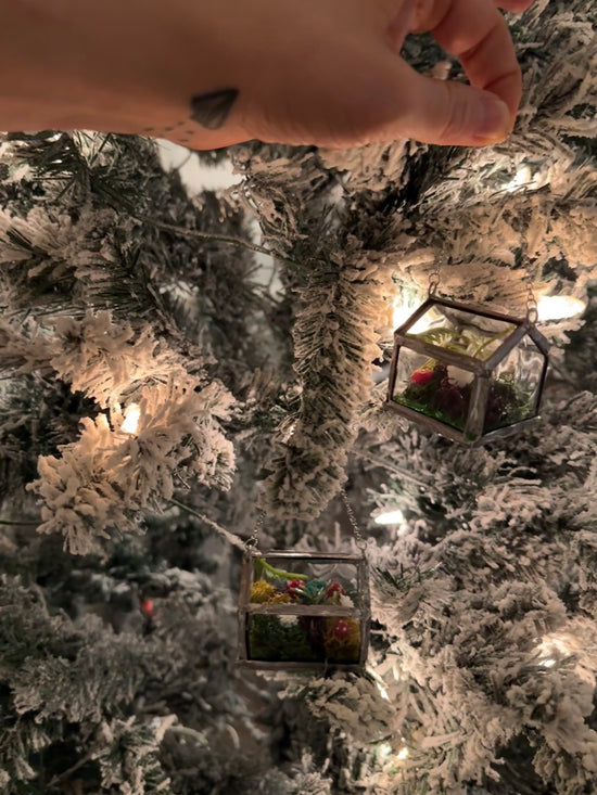 Greenhouse Ornament